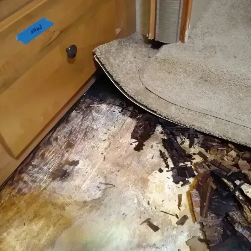 Wood Floor Water Damage in Atmore, AL